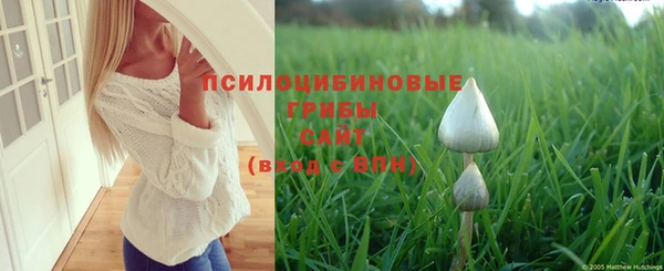 МДМА Медвежьегорск