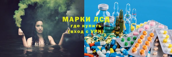 сатива Медногорск