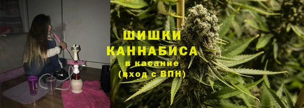 сатива Медногорск