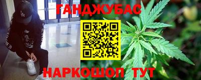 гашик Бийск