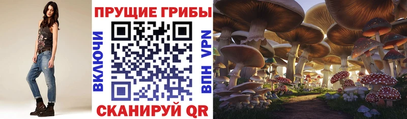Псилоцибиновые грибы мицелий  mega как войти  Елабуга  цена  