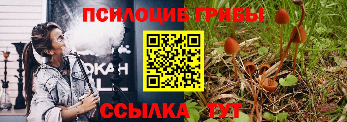 Псилоцибиновые грибы ЛСД Елабуга