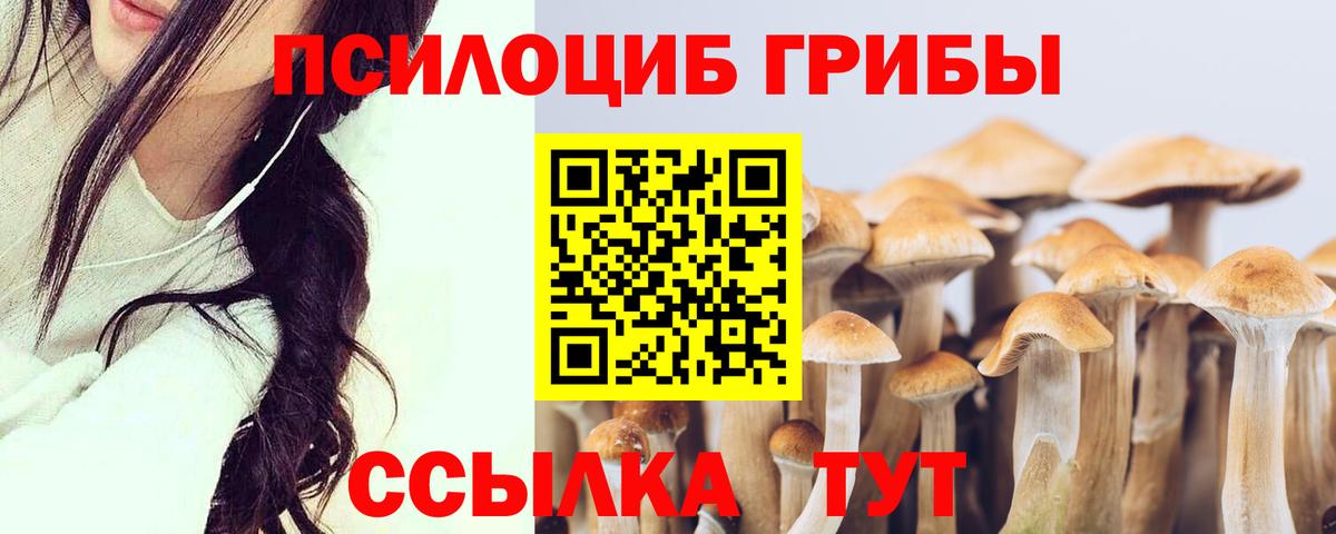 Галлюциногенные грибы Psilocybine cubensis  Вход с VPN  Елабуга 